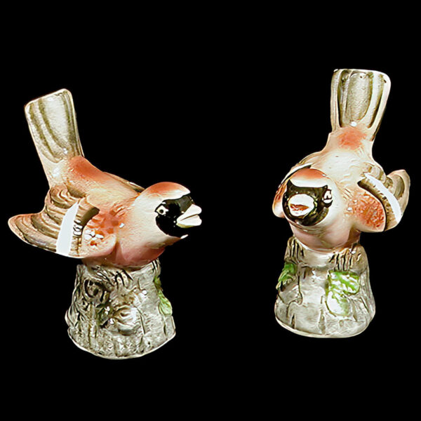 Bird Pottery Salt and Pepper Shakers