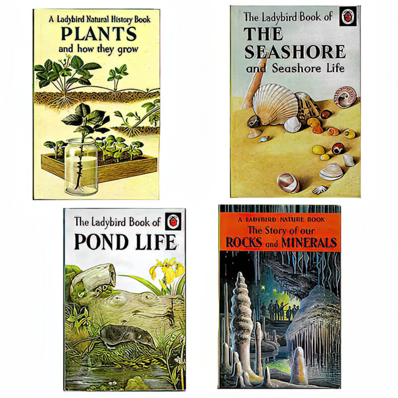 A Ladybird Natural History Books, Plants and How They Grow, Series 651, The Story of Our Rocks and Minerals, 536, The Seashore and Seashore Life, 536, Pond Life, 536, Wills and Hepworth LTD, England Publishing Company, F E Newing, Allen White, Nancy Scott