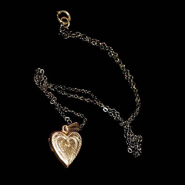 Gold Heart Locket and Chain Necklace