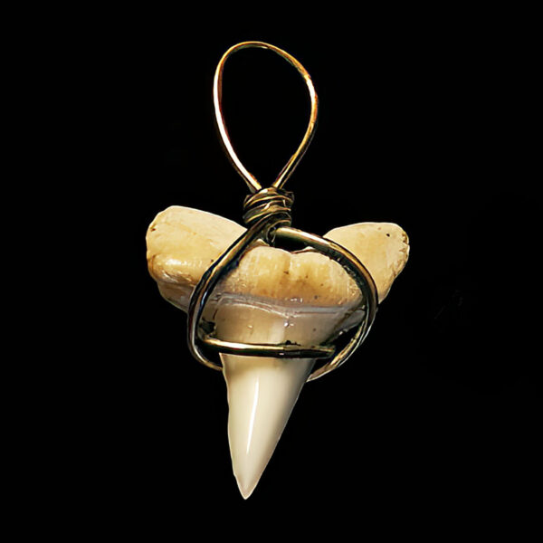 Shark’s Tooth Pendant